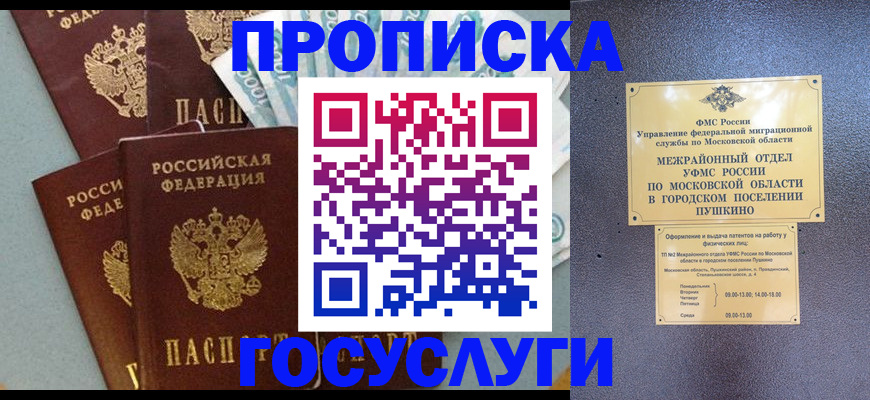 прописка гарантия в Щёлкино